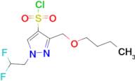 3-(butoxymethyl)-1-(2,2-difluoroethyl)-1H-pyrazole-4-sulfonyl chloride