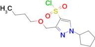 3-(butoxymethyl)-1-cyclopentyl-1H-pyrazole-4-sulfonyl chloride