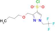 3-(butoxymethyl)-1-(2,2,2-trifluoroethyl)-1H-pyrazole-4-sulfonyl chloride