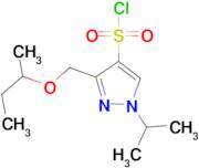 3-(sec-butoxymethyl)-1-isopropyl-1H-pyrazole-4-sulfonyl chloride