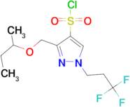 3-(sec-butoxymethyl)-1-(3,3,3-trifluoropropyl)-1H-pyrazole-4-sulfonyl chloride