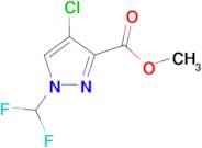 Methyl 4-chloro-1-(difluoromethyl)-1H-pyrazole-3-carboxylate