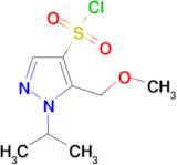 1-isopropyl-5-(methoxymethyl)-1H-pyrazole-4-sulfonyl chloride