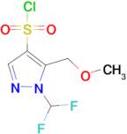 1-(Difluoromethyl)-5-(methoxymethyl)-1H-pyrazole-4-sulfonyl chloride