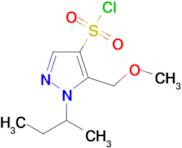 1-sec-butyl-5-(methoxymethyl)-1H-pyrazole-4-sulfonyl chloride