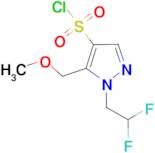 1-(2,2-difluoroethyl)-5-(methoxymethyl)-1H-pyrazole-4-sulfonyl chloride