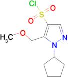 1-cyclopentyl-5-(methoxymethyl)-1H-pyrazole-4-sulfonyl chloride