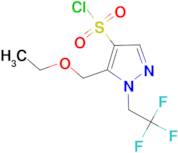 5-(ethoxymethyl)-1-(2,2,2-trifluoroethyl)-1H-pyrazole-4-sulfonyl chloride