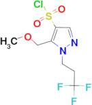 5-(methoxymethyl)-1-(3,3,3-trifluoropropyl)-1H-pyrazole-4-sulfonyl chloride