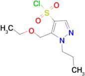 5-(ethoxymethyl)-1-propyl-1H-pyrazole-4-sulfonyl chloride