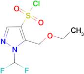 1-(Difluoromethyl)-5-(ethoxymethyl)-1H-pyrazole-4-sulfonyl chloride