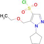 1-cyclopentyl-5-(ethoxymethyl)-1H-pyrazole-4-sulfonyl chloride