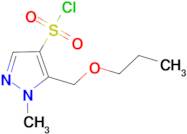 1-methyl-5-(propoxymethyl)-1H-pyrazole-4-sulfonyl chloride