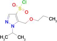 1-isopropyl-5-(propoxymethyl)-1H-pyrazole-4-sulfonyl chloride