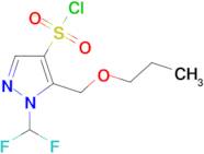 1-(Difluoromethyl)-5-(propoxymethyl)-1H-pyrazole-4-sulfonyl chloride