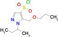 1-sec-butyl-5-(propoxymethyl)-1H-pyrazole-4-sulfonyl chloride