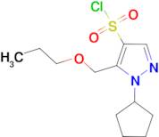 1-cyclopentyl-5-(propoxymethyl)-1H-pyrazole-4-sulfonyl chloride