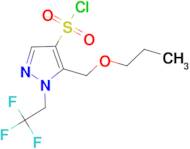 5-(propoxymethyl)-1-(2,2,2-trifluoroethyl)-1H-pyrazole-4-sulfonyl chloride