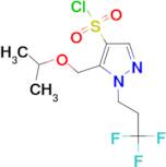 5-(isopropoxymethyl)-1-(3,3,3-trifluoropropyl)-1H-pyrazole-4-sulfonyl chloride