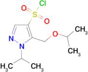 5-(isopropoxymethyl)-1-isopropyl-1H-pyrazole-4-sulfonyl chloride