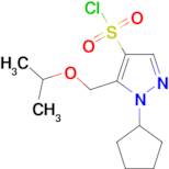 1-cyclopentyl-5-(isopropoxymethyl)-1H-pyrazole-4-sulfonyl chloride