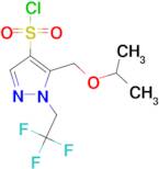 5-(isopropoxymethyl)-1-(2,2,2-trifluoroethyl)-1H-pyrazole-4-sulfonyl chloride