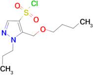 5-(butoxymethyl)-1-propyl-1H-pyrazole-4-sulfonyl chloride