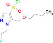 5-(butoxymethyl)-1-(2-fluoroethyl)-1H-pyrazole-4-sulfonyl chloride