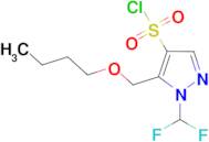 5-(Butoxymethyl)-1-(difluoromethyl)-1H-pyrazole-4-sulfonyl chloride