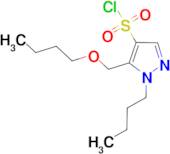 5-(butoxymethyl)-1-butyl-1H-pyrazole-4-sulfonyl chloride