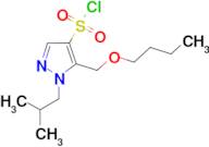 5-(butoxymethyl)-1-isobutyl-1H-pyrazole-4-sulfonyl chloride