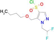 5-(butoxymethyl)-1-(2,2-difluoroethyl)-1H-pyrazole-4-sulfonyl chloride