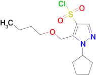 5-(butoxymethyl)-1-cyclopentyl-1H-pyrazole-4-sulfonyl chloride