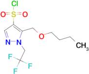 5-(butoxymethyl)-1-(2,2,2-trifluoroethyl)-1H-pyrazole-4-sulfonyl chloride