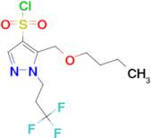 5-(butoxymethyl)-1-(3,3,3-trifluoropropyl)-1H-pyrazole-4-sulfonyl chloride