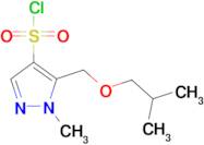 5-(isobutoxymethyl)-1-methyl-1H-pyrazole-4-sulfonyl chloride