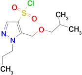 5-(isobutoxymethyl)-1-propyl-1H-pyrazole-4-sulfonyl chloride