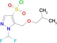 1-(Difluoromethyl)-5-(isobutoxymethyl)-1H-pyrazole-4-sulfonyl chloride