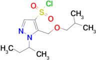 1-sec-butyl-5-(isobutoxymethyl)-1H-pyrazole-4-sulfonyl chloride