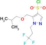 5-(isobutoxymethyl)-1-(3,3,3-trifluoropropyl)-1H-pyrazole-4-sulfonyl chloride