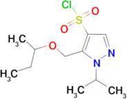 5-(sec-butoxymethyl)-1-isopropyl-1H-pyrazole-4-sulfonyl chloride