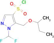 5-(sec-Butoxymethyl)-1-(difluoromethyl)-1H-pyrazole-4-sulfonyl chloride