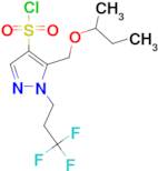 5-(sec-butoxymethyl)-1-(3,3,3-trifluoropropyl)-1H-pyrazole-4-sulfonyl chloride