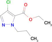 ethyl 4-chloro-1-propyl-1H-pyrazole-5-carboxylate