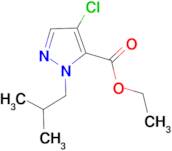 ethyl 4-chloro-1-isobutyl-1H-pyrazole-5-carboxylate