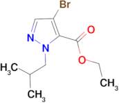 ethyl 4-bromo-1-isobutyl-1H-pyrazole-5-carboxylate