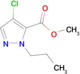 methyl 4-chloro-1-propyl-1H-pyrazole-5-carboxylate