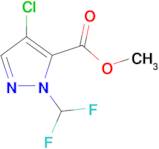 Methyl 4-chloro-1-(difluoromethyl)-1H-pyrazole-5-carboxylate