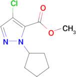 methyl 4-chloro-1-cyclopentyl-1H-pyrazole-5-carboxylate