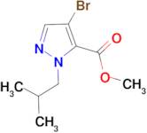 methyl 4-bromo-1-isobutyl-1H-pyrazole-5-carboxylate